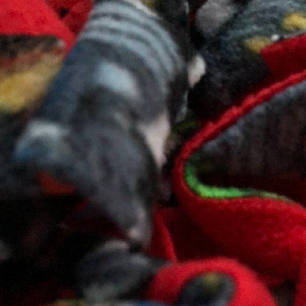 Meet your Posher, Elizabeth